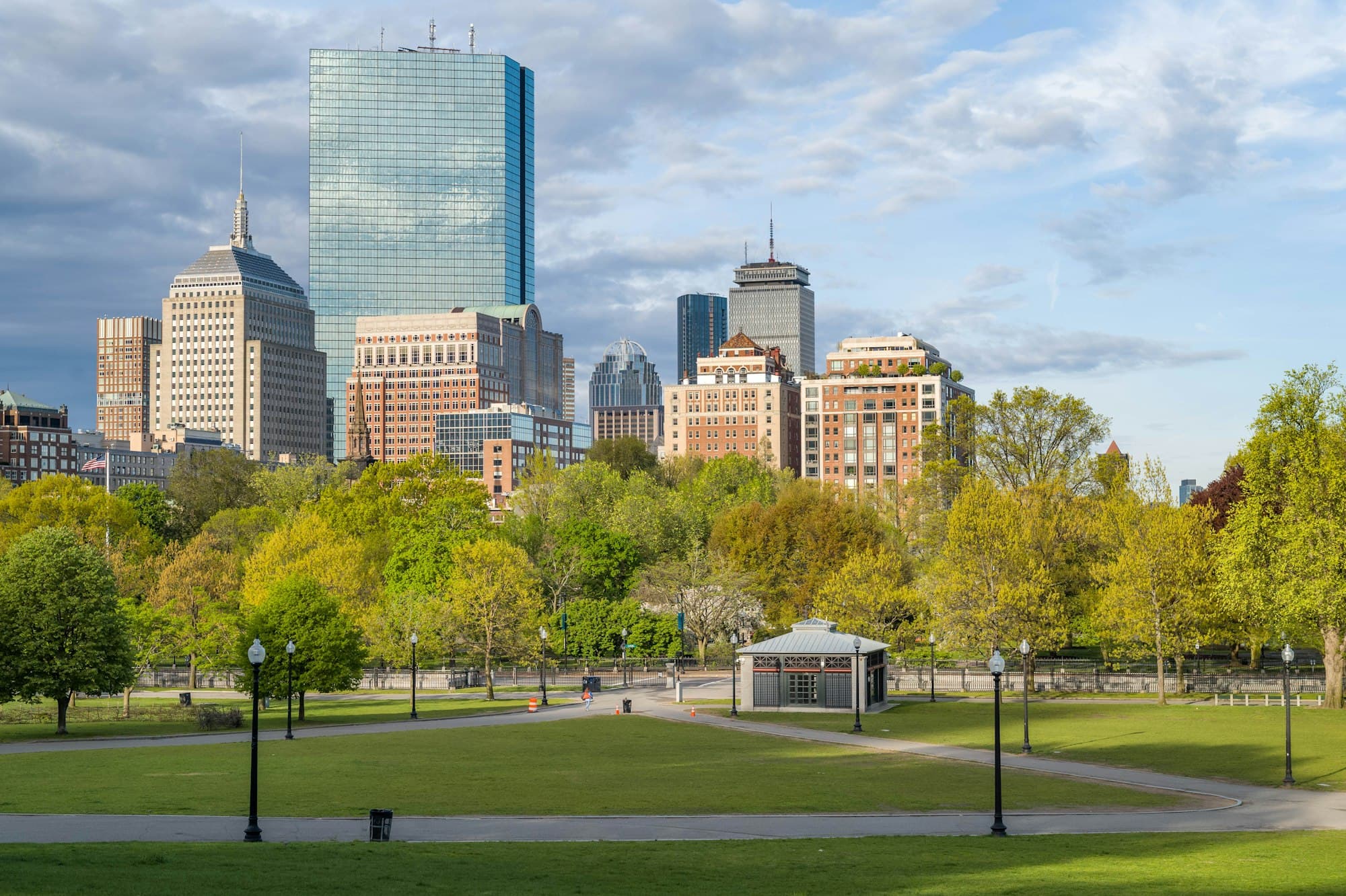 Boston Common with the city skyline beyond the trees