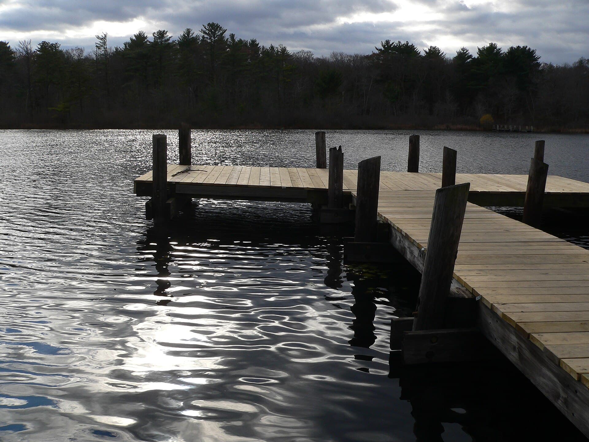 Wooden pier on a pond in the Stony Brook Reservation